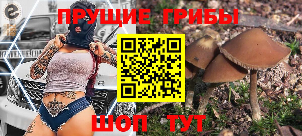 Ковров  Галлюциногенные грибы MAGIC MUSHROOMS  Вход с VPN 